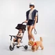 Коляска-велосипед SmarTrike Wonder Olive, 5800500 - изображение 9