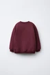 Світшот з текстовим принтом Zara 5643/62 110см Бордовий (0 5643628681110) - зображення 2