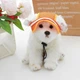 Кепка для собак и кошек "ЙОДА" Orange Size М - изображение 6