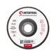 Диск шлифовальный лепестковый, 125×22 мм, зерно K150, 13300 об/мин INTERTOOL BT-0215 - изображение 1