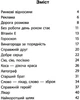 Швидкочитаночка 3 клас. Л.А.Антонова. Літера ЛТД - изображение 5