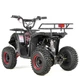 Дитячий електричний квадроцикл Xcross Xtr E-M9 800W Червоний - изображение 5