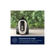 Пылесос Electrolux EL61H4SW ELECTROLUX EL61H4SW 964061 - изображение 10