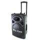 Колонка Su-Kam BT 120D + 2 мікрофони 12v\220v - зображення 2