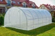 Садовая Теплица 18 М² 6 Х 3 Х 2 М С Армированной Пленкой Uv-4 С Окнами Белая Польша (386958) - изображение 4