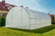 Садова теплиця парник 24 м² (8х3х2 м) армована плівка UV-4 оцинкований каркас Прозора - зображення 6