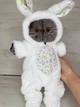 Мягкая игрушка Basik&Co Кот Басик в меховом комбинезоне 35 см - изображение 4