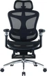 Офисное кресло Sihoo DORO C300 Pro Mesh Black with footrest (DORO-C300-PRO-M101-JT) - изображение 1