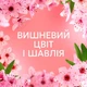 Кондиціонер для білизни Lenor Вишневий цвіт і Шавлія 1239 мл - зображення 3