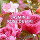 Універсальні парфумовані капсули Dash jasmin et rose de mai з Lenor для прання одягу (неймовірний аромат жасмину та троянди) P&G Envolée d'air 2 In1 3-ох компонентні Box 30 шт/уп - зображення 3