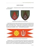 In hoc signo vinces. Історія підрозділів Сухопутних військ Збройних Сил України в знаках і символах - зображення 17