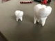 Модель Человеческого Зуба Tooth Белый 15 См 3Д Печать - изображение 1