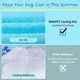 Охолоджуючий килимок для собак BINGPET Summer Pet 35 x 23 дюйми - зображення 4