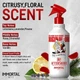 Одеколон після гоління зі стійким ароматом Immortal Original Stay Blessed № 07 EAU DE COLOGNE, 500ML - изображение 3
