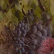 Аромадиффузор Dr. Vranjes Rosso Nobile&nbsp;250 мл Fragranza collezione (FRV0016C) - изображение 9