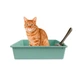 Туалет для кішок з лопаткою Taotaopets 263303-2 Mint Green котячий лоток - зображення 3