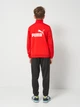 Детский спортивный костюм (толстовка + штаны) для мальчика Puma 68629311 134-140 см For All Time Red (4067983240836) - изображение 2