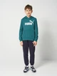Детское худи для мальчика Puma Essentials No.1 Logo 68490941 134-140 см Emerald Ice (4069161983832) - изображение 3