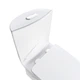 Унітаз-моноблок SY 1612 PAINT rim 71*39*77 белый ( А0058450 ) - изображение 3