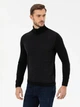 Гольф-водолазка мужская Pierre Cardin G021SZ0TK-000-1487785(Siyah) M Черная (8682734239264) - изображение 1