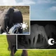 Фотоловушка с датчиком движения и ночным видением / Охотничья камера / Камера наблюдения - изображение 6
