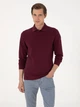 Поло довге чоловіче Pierre Cardin G021SZ082-000-2314481 (bordo) 2XL Бордове (8683859229604) - зображення 1