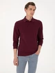 Поло довге чоловіче Pierre Cardin G021SZ082-000-2314481 (bordo) 2XL Бордове (8683859229604) - зображення 4