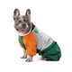 Дождевик для животных Pet Fashion Marlie S (такса) (4823082439485) - изображение 4