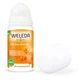 Дезодорант Weleda Sea Buckthorn 24h Deo Roll-On 50 мл (4001638502399) - зображення 2