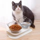 Посуд для кішок Me&Pet Миски з підставкою прозорі (NMP060) - зображення 4