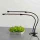 Фітолампа LED Grow Light USB на 2 лампи для рослин і розсади, світлодіодна лампа для росту та цвітіння - зображення 2