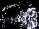 Гірлянда LED 100 шт біла кругла лампа чорний провід прозора для новорічної прикраси інтер'єру та вулиці - зображення 5