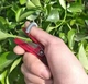 Секатор пальчиковый нож (мини) для сбора овощей и ягод, пасынкования и формирование растений 1 шт. Красный - изображение 5