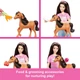 Ігровий набір Барбі Конюшня для поні Barbie Stable with Small Pony Mysteries: The Great Horse Chase (HXJ40) - зображення 2