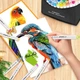 Маркери Caliart Спиртові Пензель Долото для скетчингу 121 Colors Alcohol Brush Markers Brush Chisel Оригінал - зображення 7