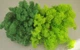 Стабилизированный мох ягель для декора MIX grass green light №79 (50г) + grass green dark №78 (50г) - изображение 2
