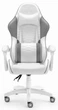 Геймерське крісло екошкіра Hell's Chair HC-1000 Grey White - изображение 1