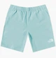 Шорти The North Face Water Short Turquoise NF0A5IG5LV2 M - зображення 1