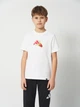 Подростковая футболка Adidas KA0536 158-164 см White (4068814071537) - изображение 1