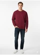 Свитшот на флисе H&M M Бордовый 0970818_борд - изображение 2