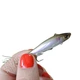 Воблер Jackall Live Darter #Pearl Smelt - зображення 2