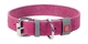 Нашийник шкіра 38-49 см 25 мм Waudog Classic Collar рожевий для собак - зображення 1