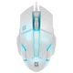 Мишка Defender Host MB-982 USB White (52983) - зображення 1