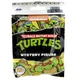 Фигурка-сюрприз Jada TMNT (253281) - изображение 1