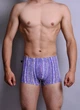 Мужские трусы - боксеры C+3 811 XXL синие с голубым - изображение 1