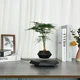 Магнітний левітаційний горщик для рослин HCNT Magnetic Levitating Pot M10-GW4 Black - зображення 1