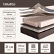 Ортопедический матрас Coazy Sleep Tiramisu 70х190 см - изображение 2