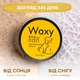 Воск для подушечек лап ProbioDay Waxy крем для лап пробиодей собак и кошек защитный от трещин и сухости с маслом ши 50 мл Пробиодей - изображение 4