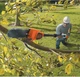 Висоторіз акумуляторний BLACK+DECKER з штангою, 18 В, 2 Аг, довжина шини 20 см, штанга довжиною від 150 до 244 см забезпечує - изображение 6