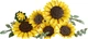 Конструктор Lego Botanicals Букет подсолнухов 11502 - изображение 3